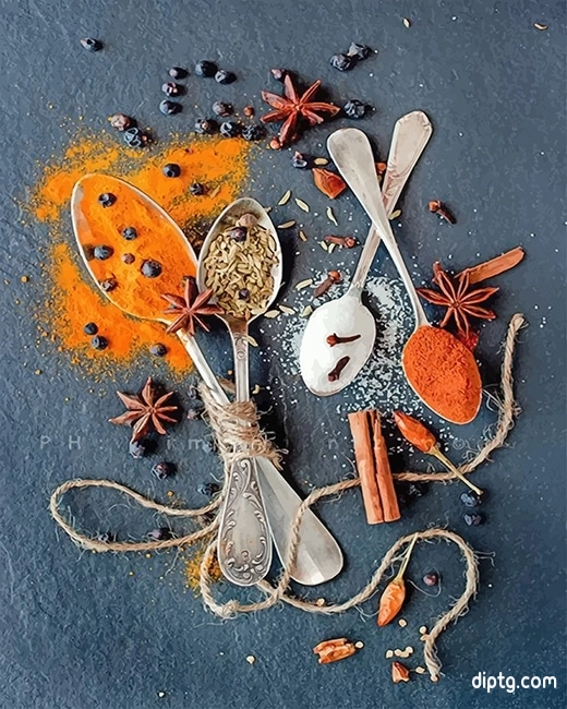 Spices Creative Photography Painting By Numbers Kits.jpg