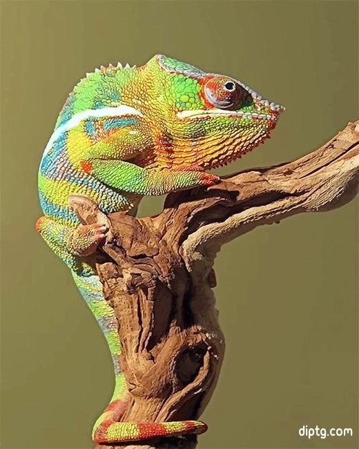 Green Chameleon Painting By Numbers Kits.jpg
