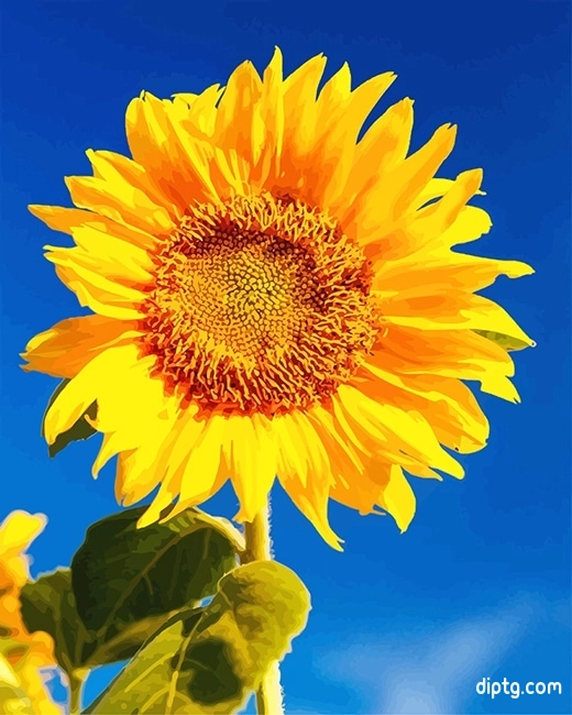 Yellow Sunflower Painting By Numbers Kits.jpg