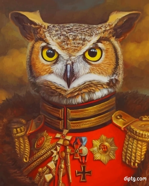Mr Owl Painting By Numbers Kits.jpg