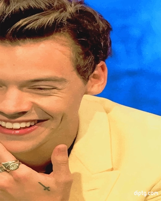 Harry Styles Dimple Painting By Numbers Kits.jpg