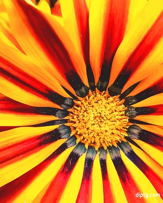 Gazania Big Kiss Yellow Details Painting By Numbers Kits.jpg