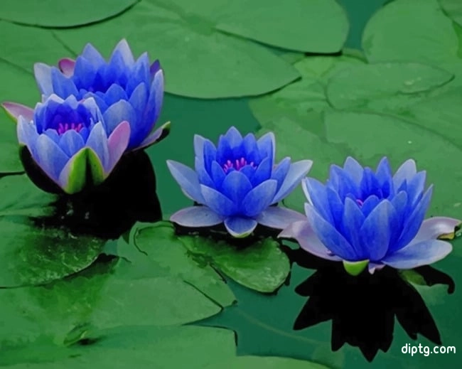 Blue Lotus Flowers Painting By Numbers Kits.jpg