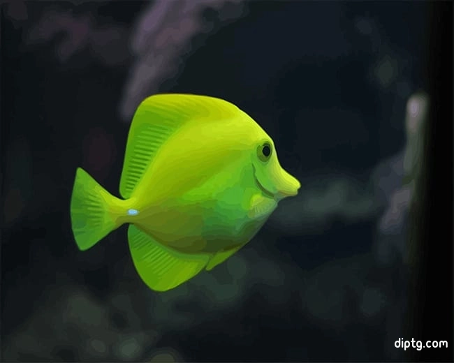 Green Fish Aquarium Painting By Numbers Kits.jpg