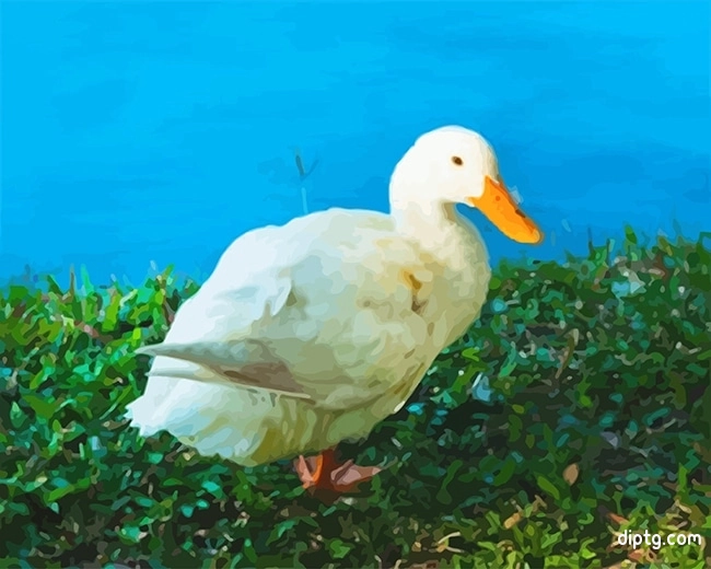 White Duck Painting By Numbers Kits.jpg