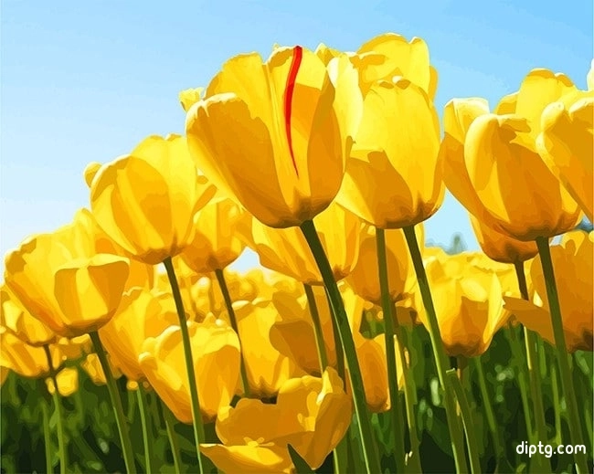 Yellow Tulip Flower Painting By Numbers Kits.jpg