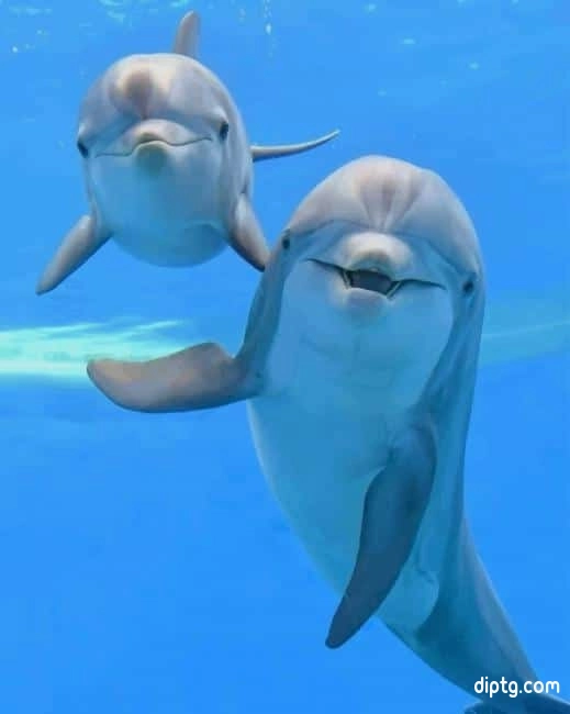 Dolphins Painting By Numbers Kits.jpg