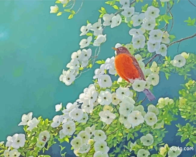 Spring Robin Painting By Numbers Kits.jpg