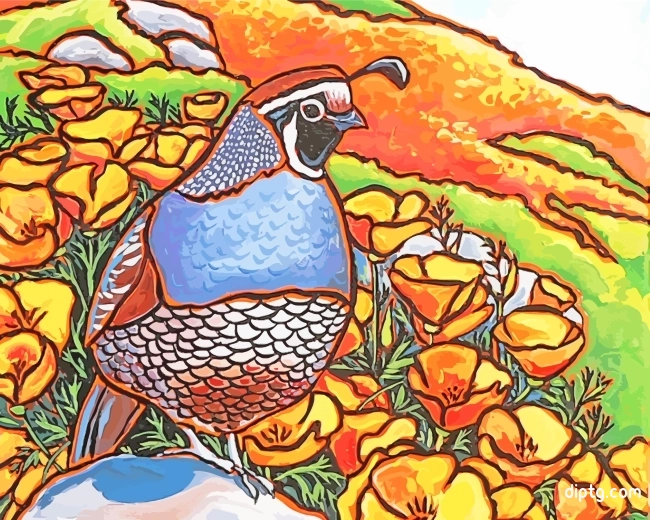 Quail Bird Art Painting By Numbers Kits.jpg
