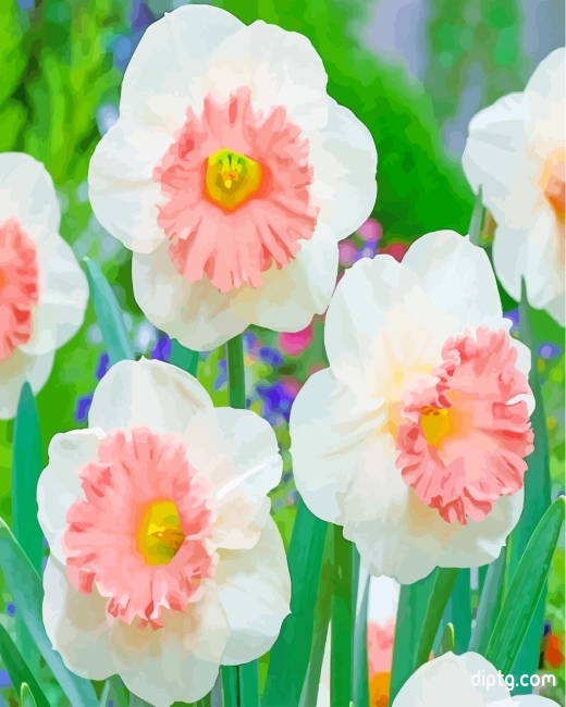 White Pink Daffodil Painting By Numbers Kits.jpg