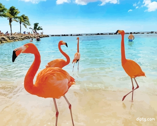 Aruba Flamingos Painting By Numbers Kits.jpg