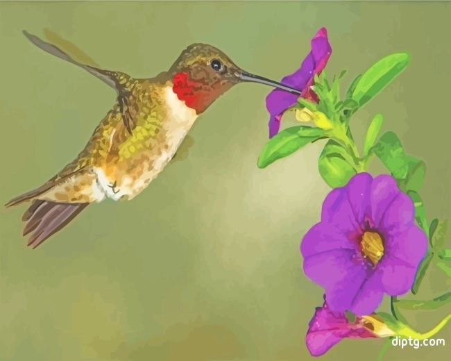 Hummingbird In Purple Flower Painting By Numbers Kits.jpg