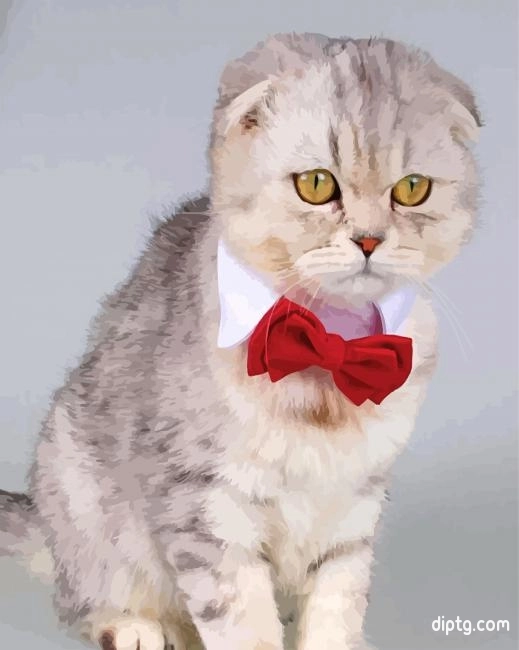 Cat Red Bow Tie Painting By Numbers Kits.jpg
