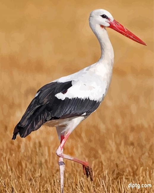 White Stork Bird Animal Painting By Numbers Kits.jpg