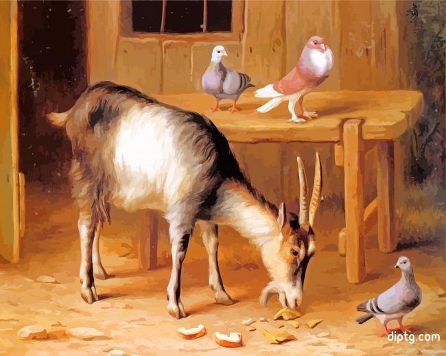 A Goat And Pigeons In A Farmyard Painting By Numbers Kits.jpg