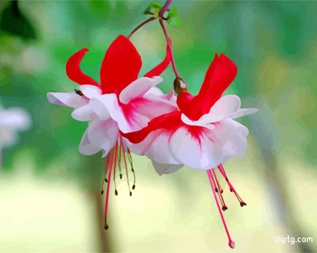 Blooming Fuchsia Flowering Plant Painting By Numbers Kits.jpg