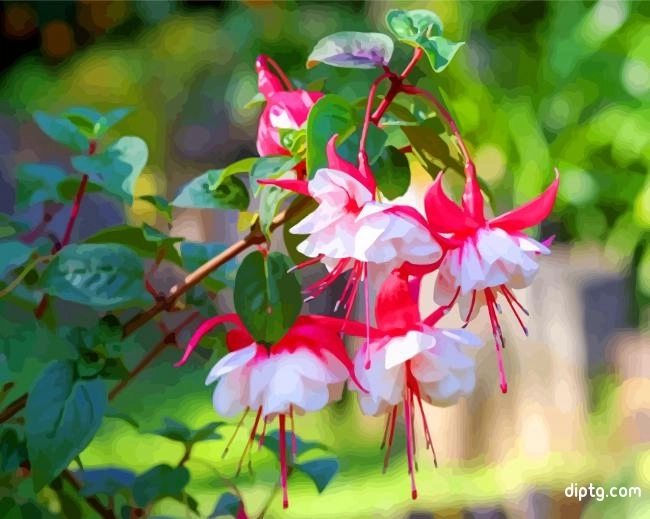 Blooming Fuchsia Flowers Painting By Numbers Kits.jpg