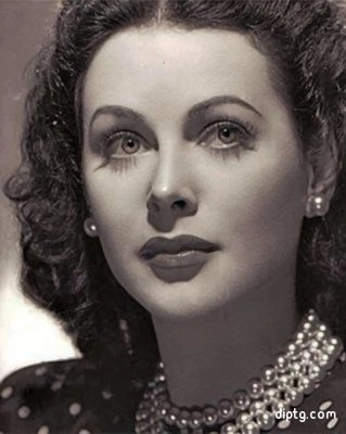 Black And White Hedy Lamarr Painting By Numbers Kits.jpg