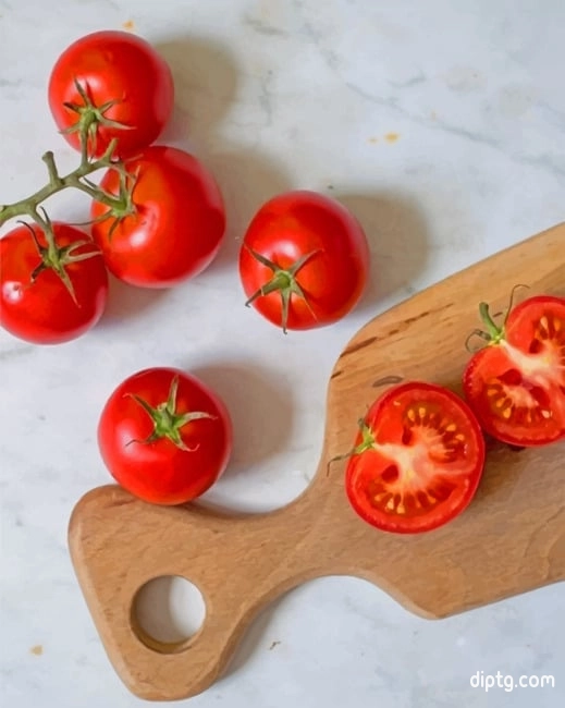Tomato Photography Painting By Numbers Kits.jpg