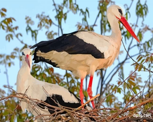 White Stork Birds Painting By Numbers Kits.jpg