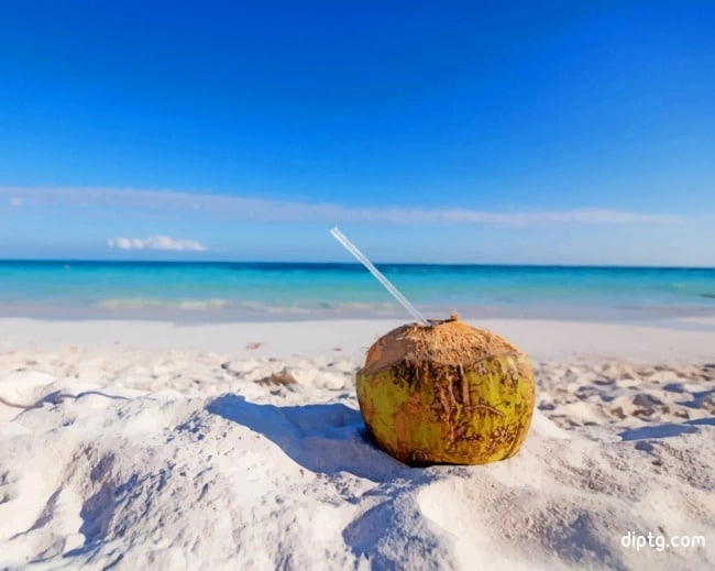 Coconut Drink On Beach Painting By Numbers Kits.jpg