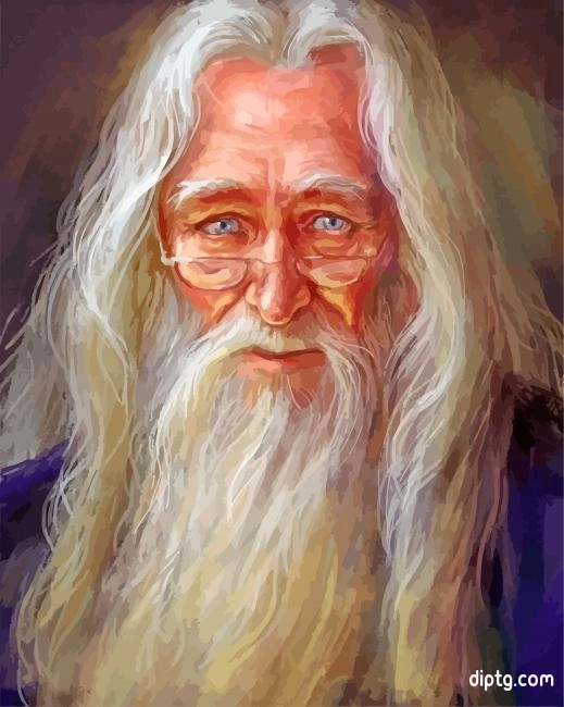 Albus Dumbledore Art Painting By Numbers Kits.jpg