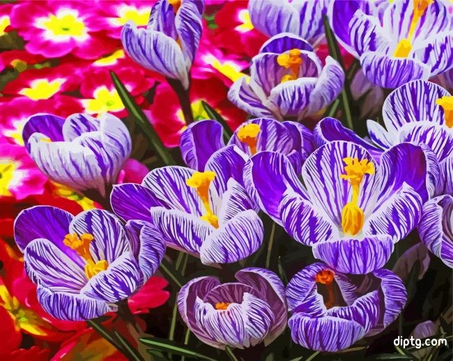 Crocus Flowers Painting By Numbers Kits.jpg