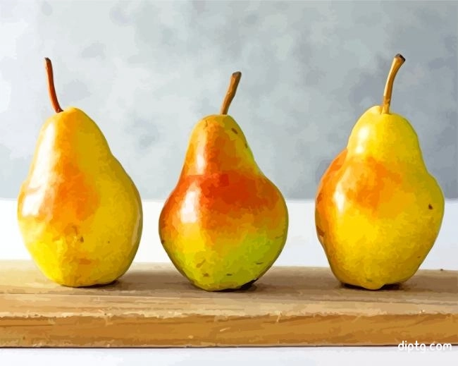 European Pears Painting By Numbers Kits.jpg