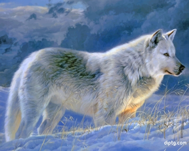 Winter Wolf Painting By Numbers Kits.jpg