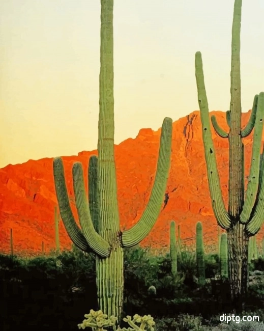 Big Cactus Mountains Painting By Numbers Kits.jpg