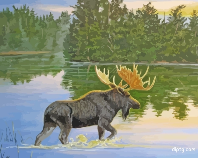 Moose In Lake Painting By Numbers Kits.jpg