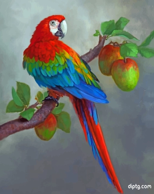 Apples And Parrot Painting By Numbers Kits.jpg