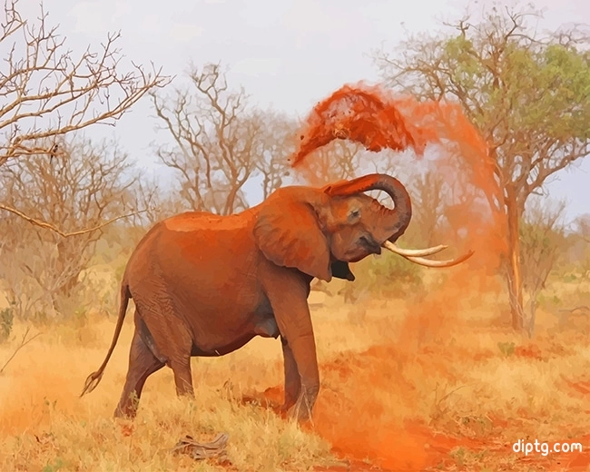 African Elephant Painting By Numbers Kits.jpg