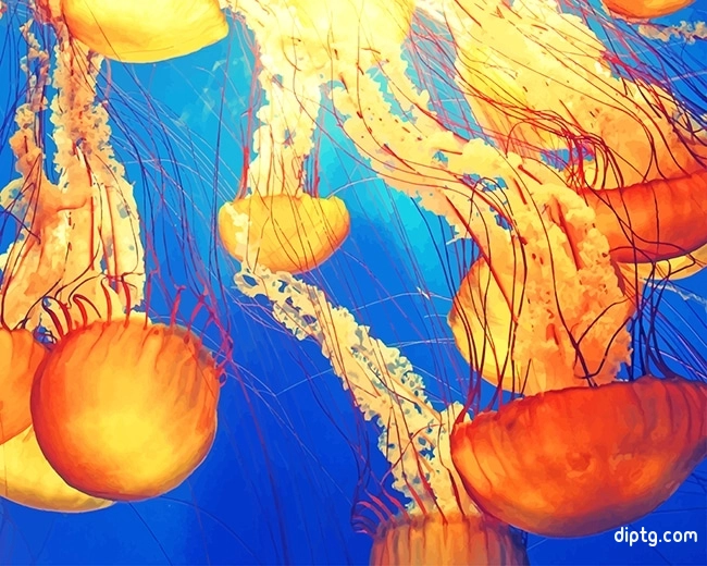 Jellyfish Illustration Painting By Numbers Kits.jpg