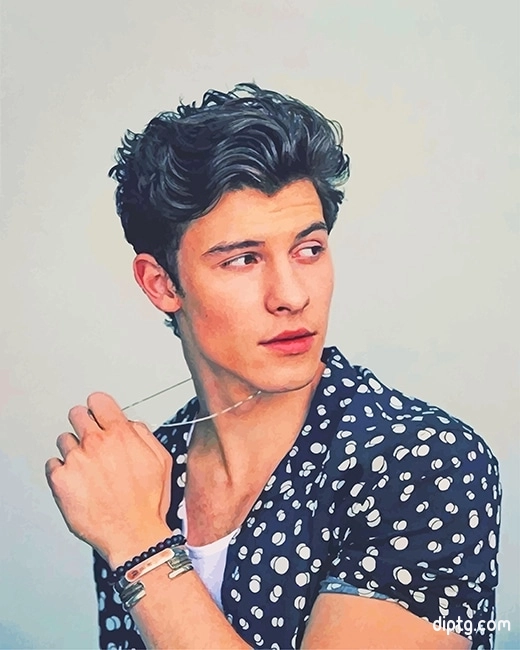 Cool Shawn Mendes Painting By Numbers Kits.jpg