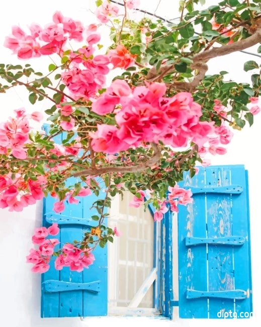 Mykonos Greece Pink Flowers Painting By Numbers Kits.jpg