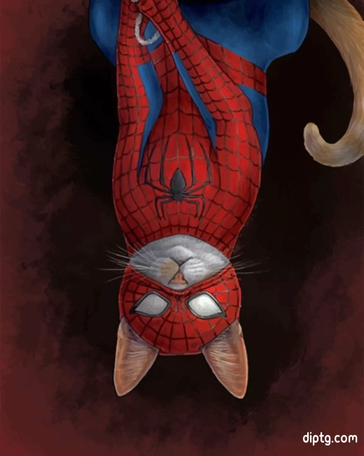 Spider Cat Painting By Numbers Kits.jpg