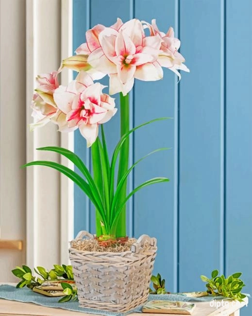 Elvas Amaryllis Pot Painting By Numbers Kits.jpg