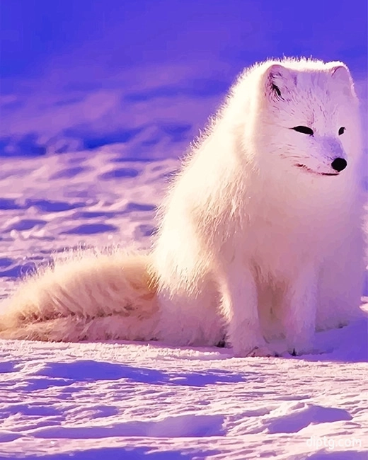 Lovely Arctic Fox Painting By Numbers Kits.jpg