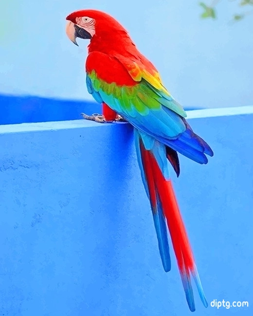 Beautiful Parrot Painting By Numbers Kits.jpg