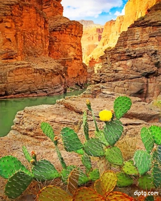 Grand Canyon National Park Cactus Painting By Numbers Kits.jpg