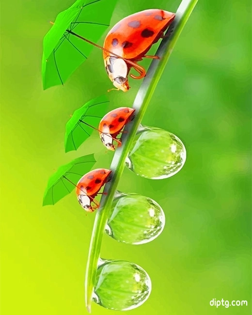 Cute Ladybugs Painting By Numbers Kits.jpg