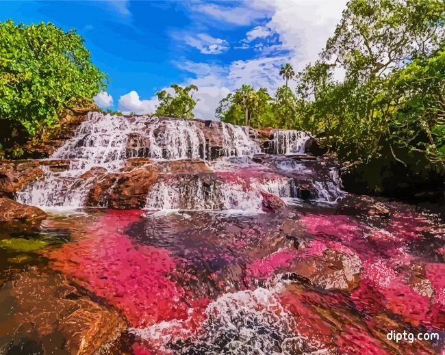 Cano Cristales Colombia Painting By Numbers Kits.jpg