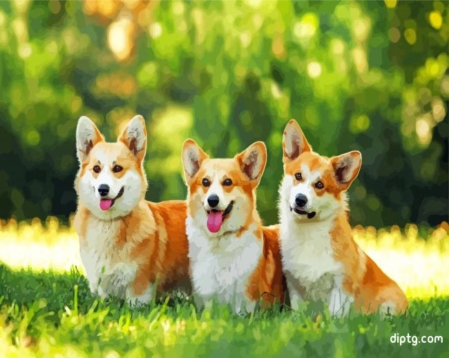 Corgis Puppies Painting By Numbers Kits.jpg