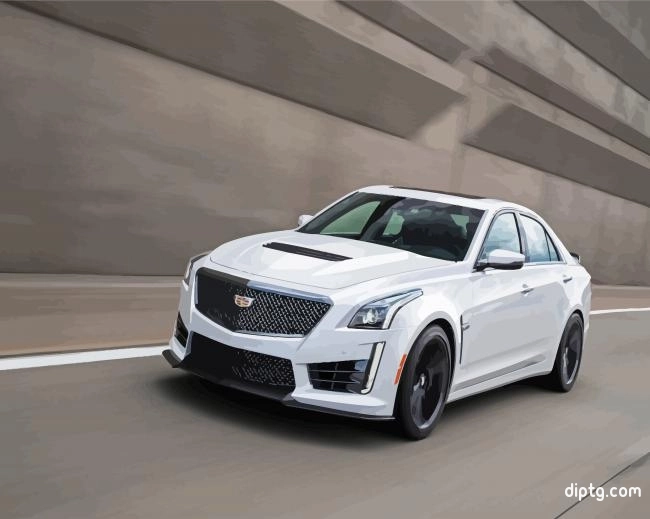 White Cts V Car Painting By Numbers Kits.jpg