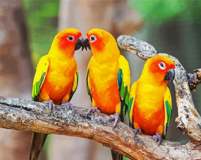 Conure Birds Painting By Numbers Kits.jpg