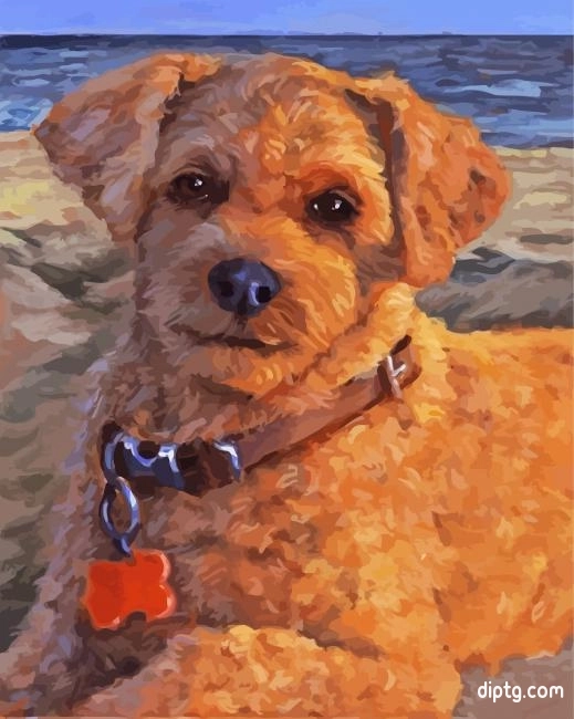 Cute Cockapoo Puppy Painting By Numbers Kits.jpg