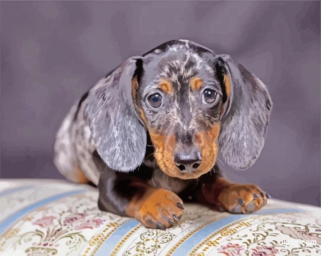 Aesthetic Doxie Dog Painting By Numbers Kits.jpg