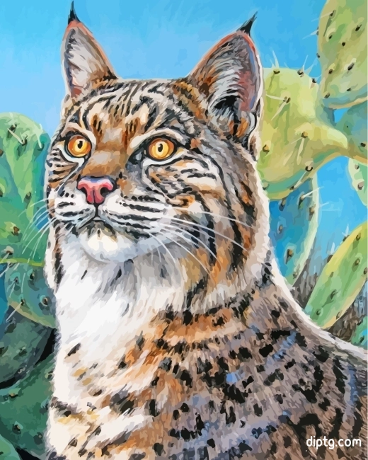 Wild Bobcat Art Painting By Numbers Kits.jpg