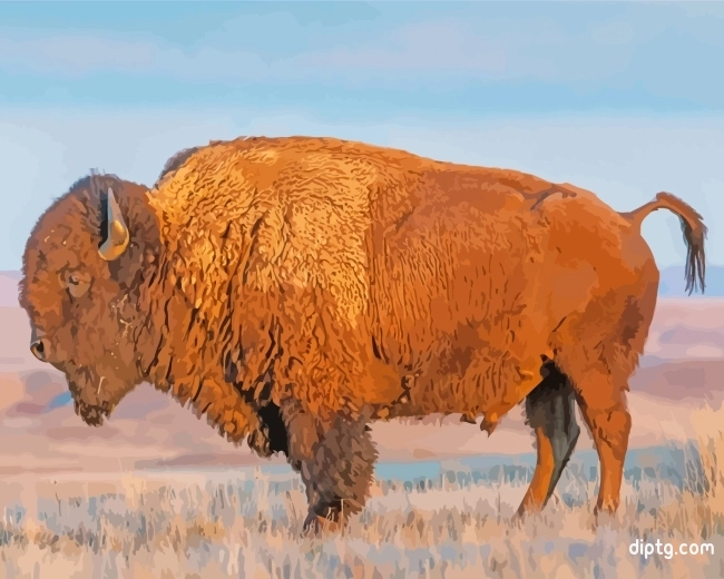 Wildlife Bison Painting By Numbers Kits.jpg